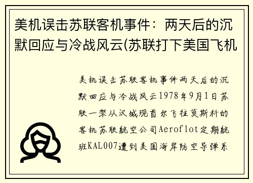美机误击苏联客机事件：两天后的沉默回应与冷战风云(苏联打下美国飞机u2)