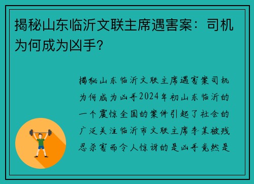 揭秘山东临沂文联主席遇害案：司机为何成为凶手？