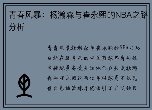 青春风暴：杨瀚森与崔永熙的NBA之路分析