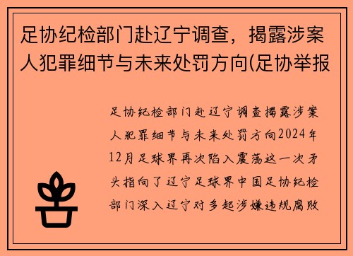 足协纪检部门赴辽宁调查，揭露涉案人犯罪细节与未来处罚方向(足协举报电话)