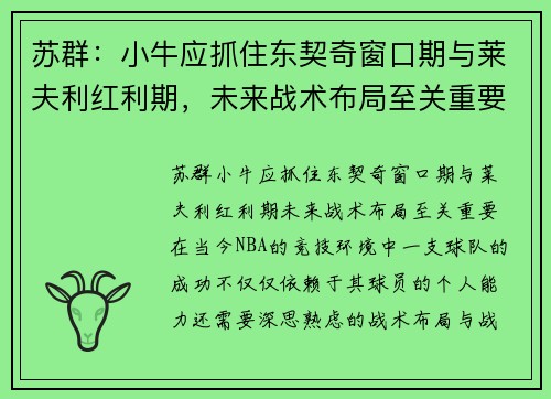 苏群：小牛应抓住东契奇窗口期与莱夫利红利期，未来战术布局至关重要